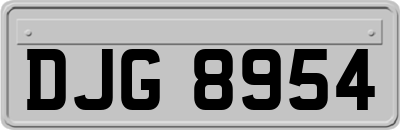 DJG8954