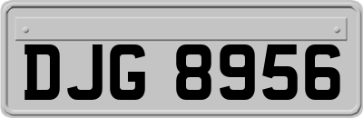 DJG8956