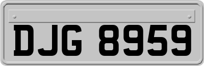 DJG8959