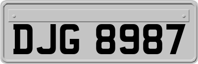 DJG8987
