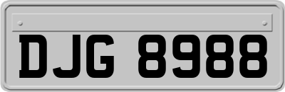 DJG8988