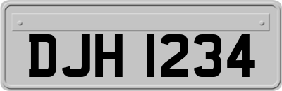 DJH1234