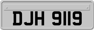 DJH9119