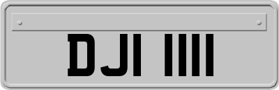 DJI1111