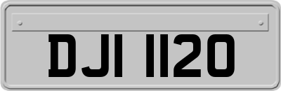DJI1120
