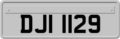 DJI1129