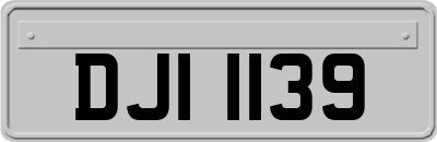 DJI1139
