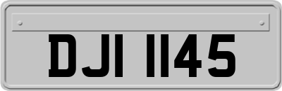 DJI1145