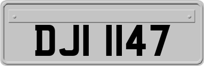 DJI1147