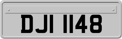 DJI1148