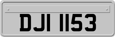DJI1153
