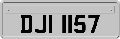 DJI1157