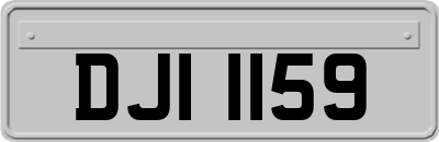 DJI1159