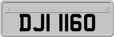 DJI1160