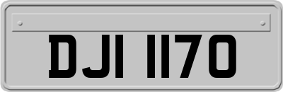 DJI1170