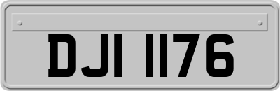 DJI1176