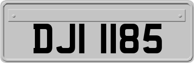 DJI1185
