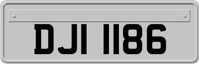 DJI1186