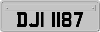 DJI1187