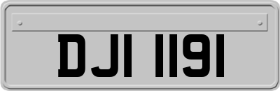 DJI1191