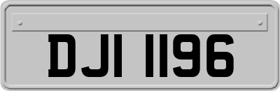 DJI1196