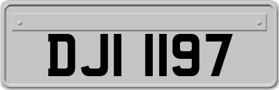DJI1197
