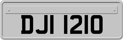 DJI1210