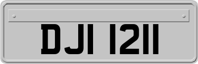 DJI1211