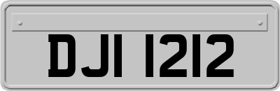 DJI1212