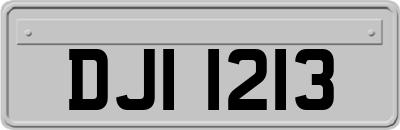 DJI1213