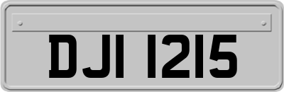 DJI1215
