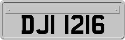 DJI1216