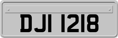 DJI1218