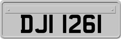 DJI1261
