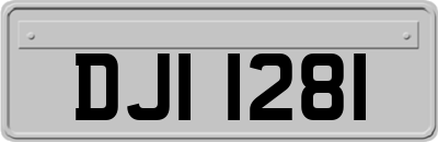DJI1281