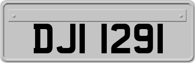 DJI1291