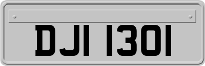 DJI1301