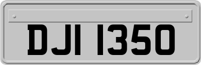 DJI1350