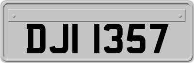 DJI1357