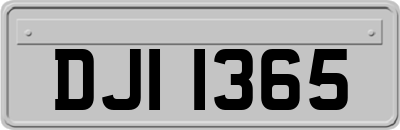 DJI1365