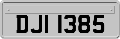 DJI1385