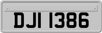 DJI1386