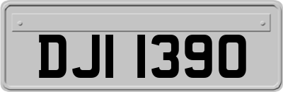 DJI1390