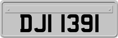 DJI1391