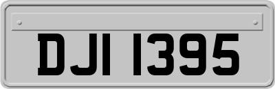 DJI1395