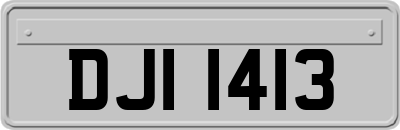 DJI1413