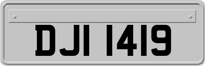 DJI1419