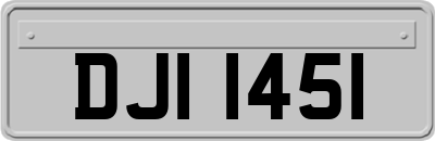 DJI1451
