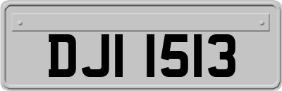 DJI1513