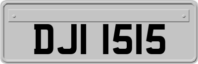 DJI1515